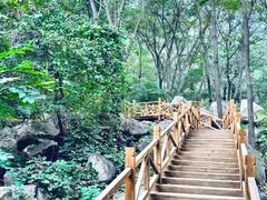 -大岭沟猕猴桃谷风景区