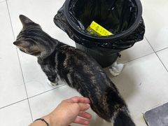 -重庆麻辣烫(国权路店)