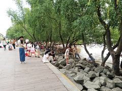 -宝安西湾红树林湿地公园