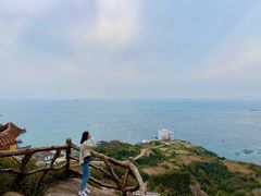 -枸杞岛
