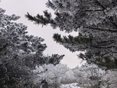 -安吉龙王山风景区