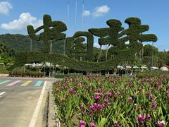 -东南花都花博园