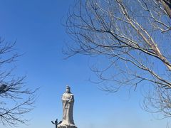 -天津妈祖文化园