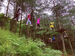 游乐设施-梦幻奥陶纪景区