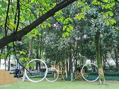 -成都市活水公园