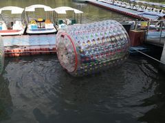 -自然谷恐龙园
