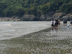 -北岐滩涂