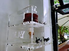 -叁秋咖啡 SANQIU COFFEE(天津河北路店)