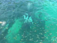 -真浪花园海鲜餐馆