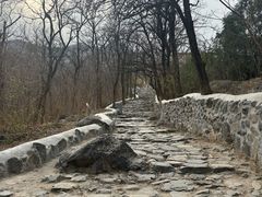 -阳台山自然风景区