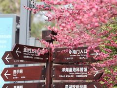 -洋湖国家湿地公园