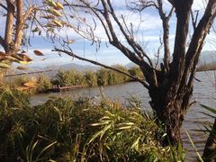 iphone_upload_pic-西昌邛海湿地