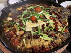 -老板恋上鱼(印象城店)