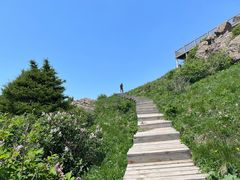 -白草畔自然风景区