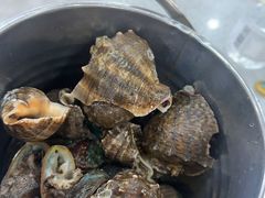 -仙螺岛海鲜自助餐厅(总店)