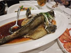 清蒸老虎斑-万龙洲海鲜(大兴绿地缤纷城店)