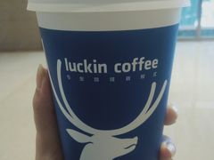 -瑞幸咖啡(龙湖北城天街北馆店)