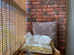 -B.O.M波姆烘焙(凤凰街店)