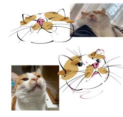 -飛凡TATTOO纹身•原创