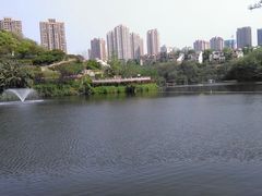 -重庆彩云湖湿地公园