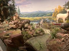 -陕西自然博物馆