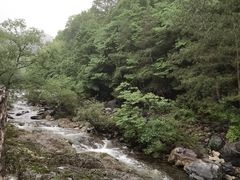 -黄山翡翠谷景区