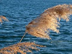 -颐和园-景明楼