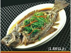 -威海渔村(静安旗舰店)