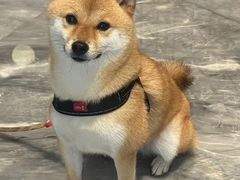 -上海会展方隅服务公寓