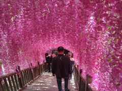 -沕沕水生态风景区