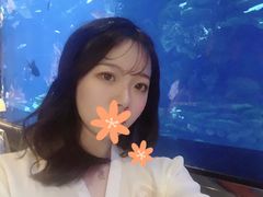 -迪拜帆船酒店海底餐厅