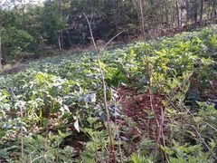 -南京市无想山景区