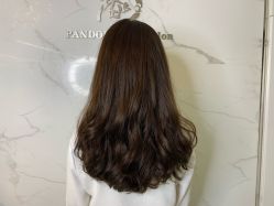 -潘多拉Hairsalon