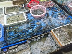 -霞涌市场海鲜摆卖区