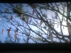 -天幕新彩云国际影城(激光巨幕店)