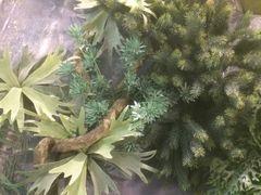 -潮粥荟·潮汕砂锅粥(朝阳大悦城店)