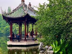 -棠湖公园