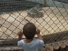 -呀路古热带植物园