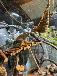 -Zoolung Zoolung动物主题公园(海信广场店)