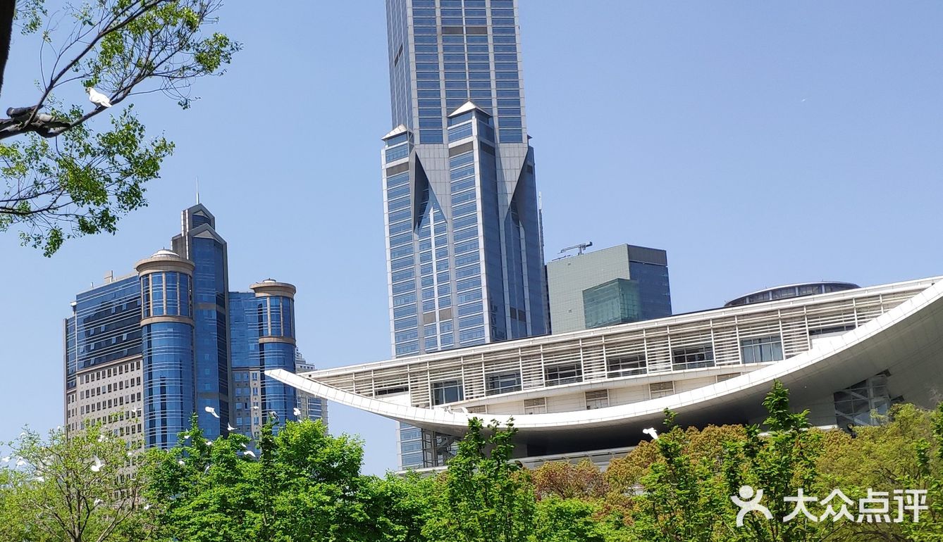 上海零点再起飞,归来是否仍是少年?