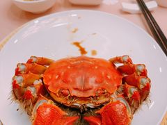 -王宝和酒家(黄浦店)