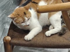 -晓马鸭店(新芜路店)