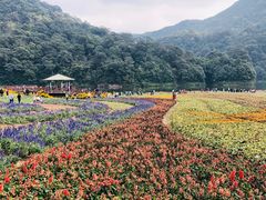 -广州市石门国家森林公园
