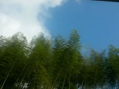 -新加坡文华东方酒店