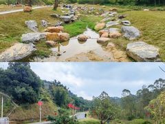 -黄埔油麻山森林公园