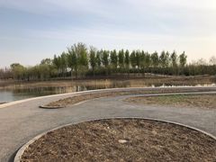 -东郊湿地公园