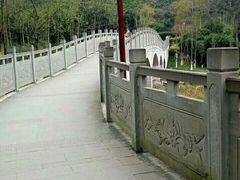 -重庆彩云湖湿地公园
