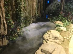 -大塘金香草谷