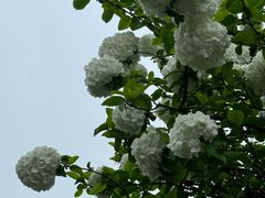 -白塘生态植物园