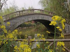 -南汇桃花村